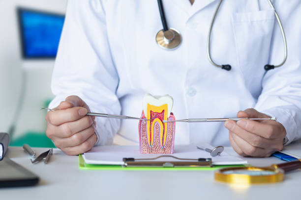 Best Emergency Root Canal Therapy in Mckenzie, TN